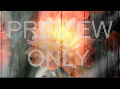 Floral Fusion 1 Graphic