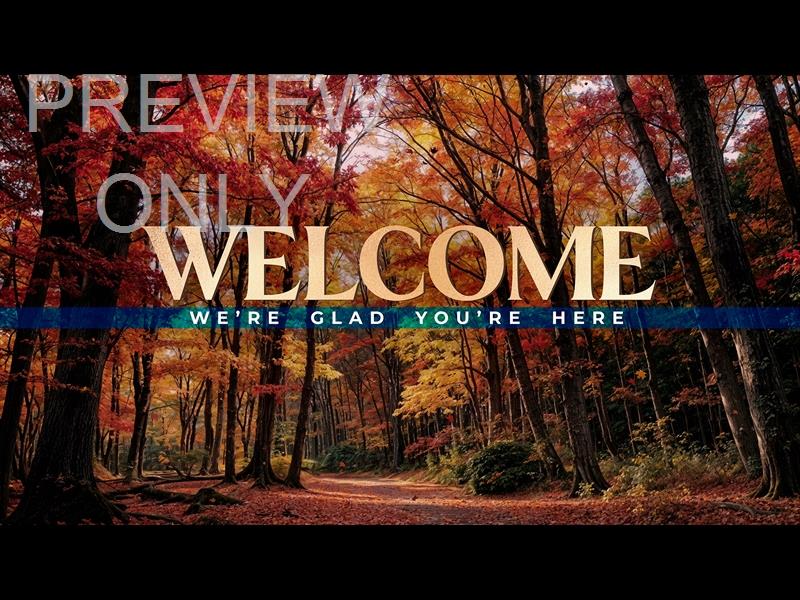 Forest Fall Welcome Still