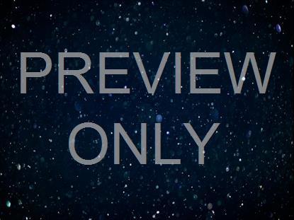 Christmas Woods 14 Still