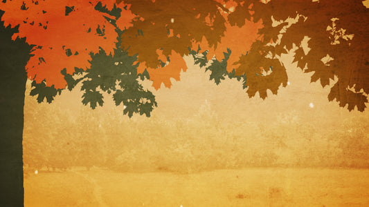 Fall Colors 04 Still