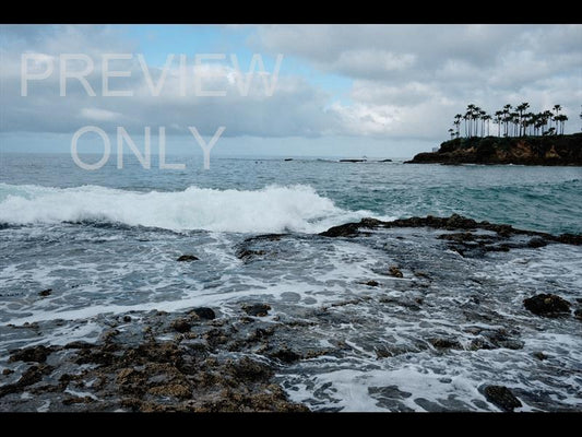Ocean West Coast
