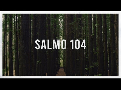 Salmo 104