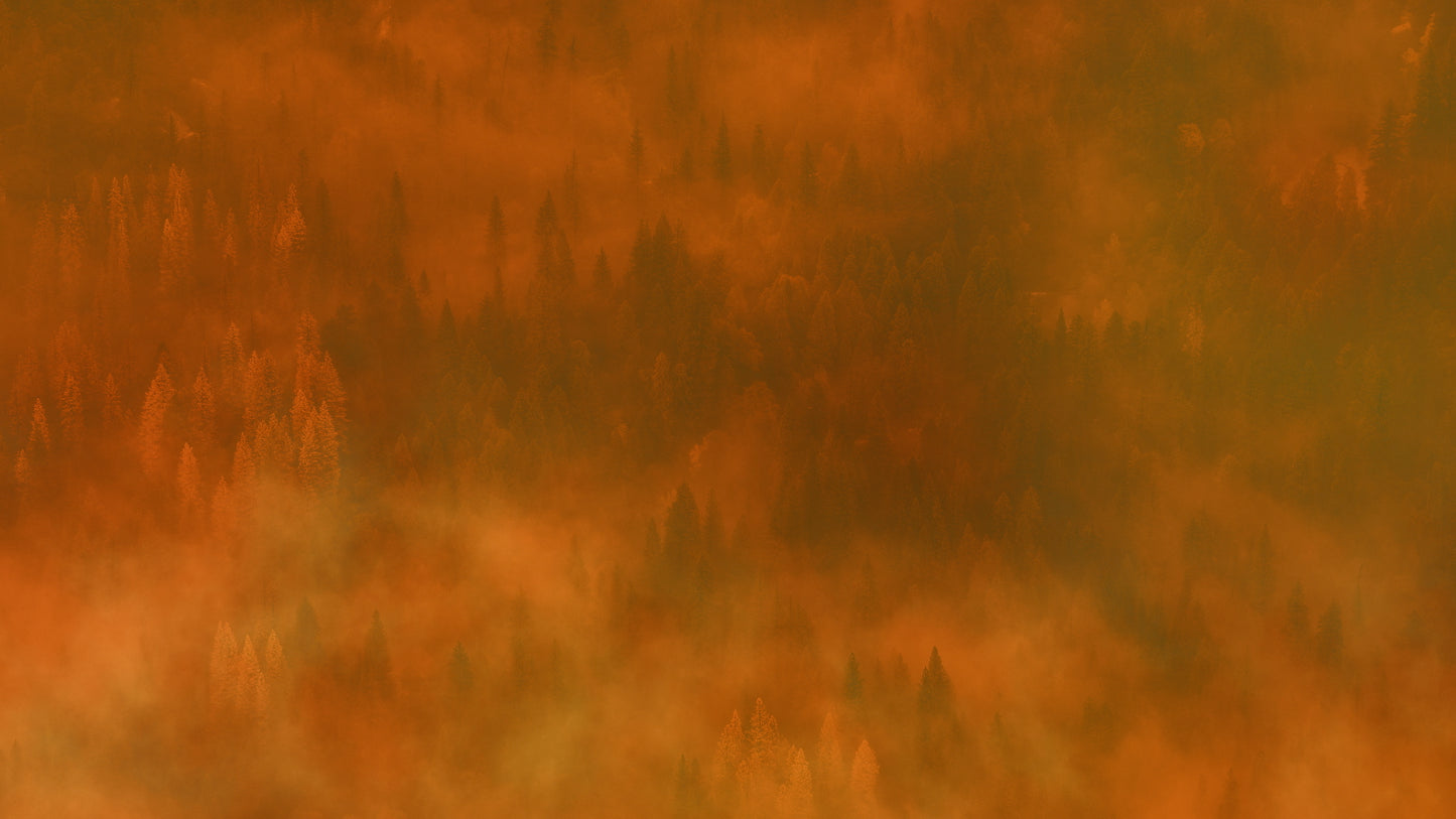 Last Light Hill Still