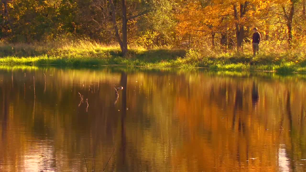 Autumn Reflection