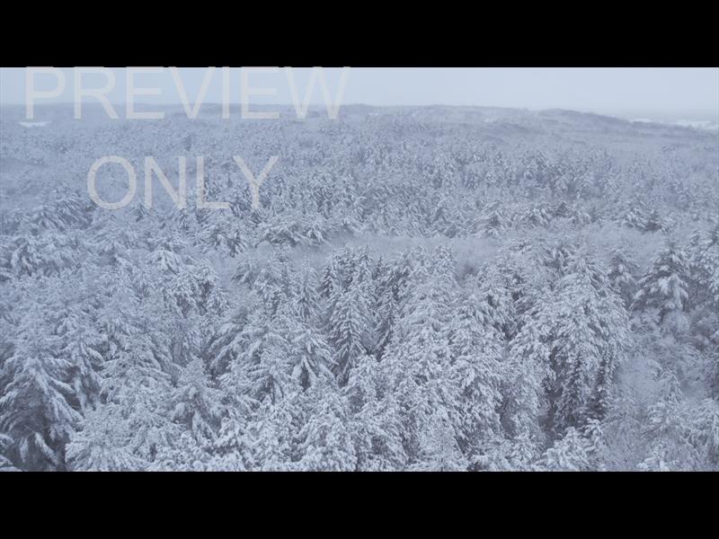 Winter Woods Reverse Aerial Still