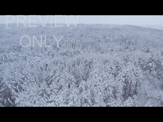 Winter Woods Reverse Aerial Still