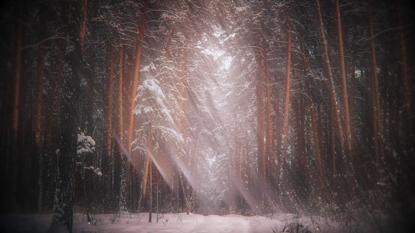 Holiday Visions 5 Still