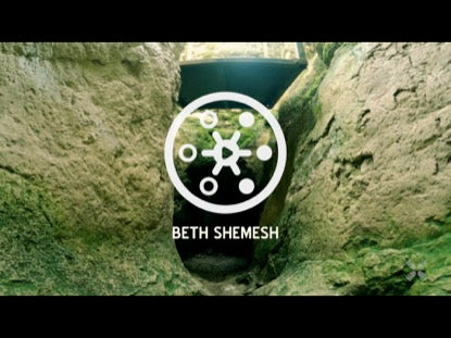 Promised Land Beth Shemesh