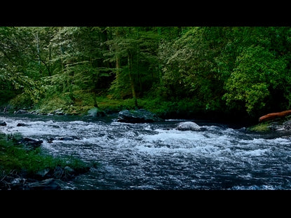River Wild 8