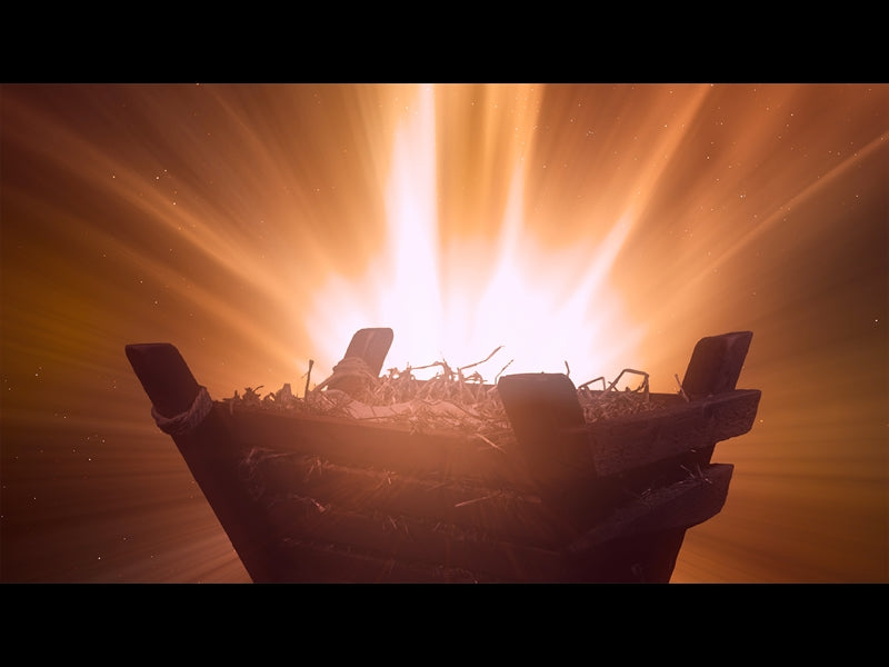 Christmas Manger 1