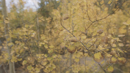 Mountain Hike 05 Still