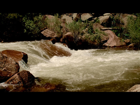 El Dorado Motion 18