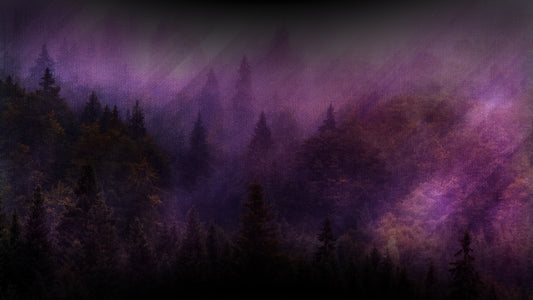 Streaming Beauty 9 Still