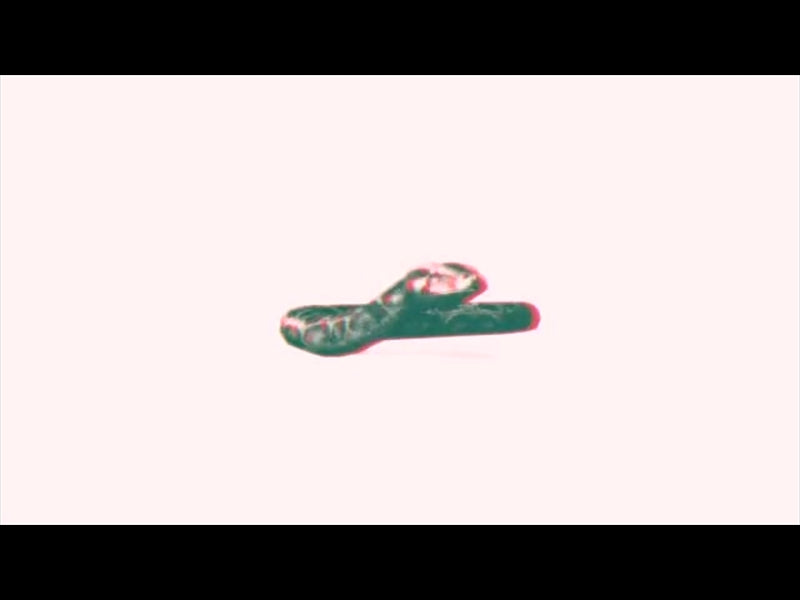 Bible Animals Snake