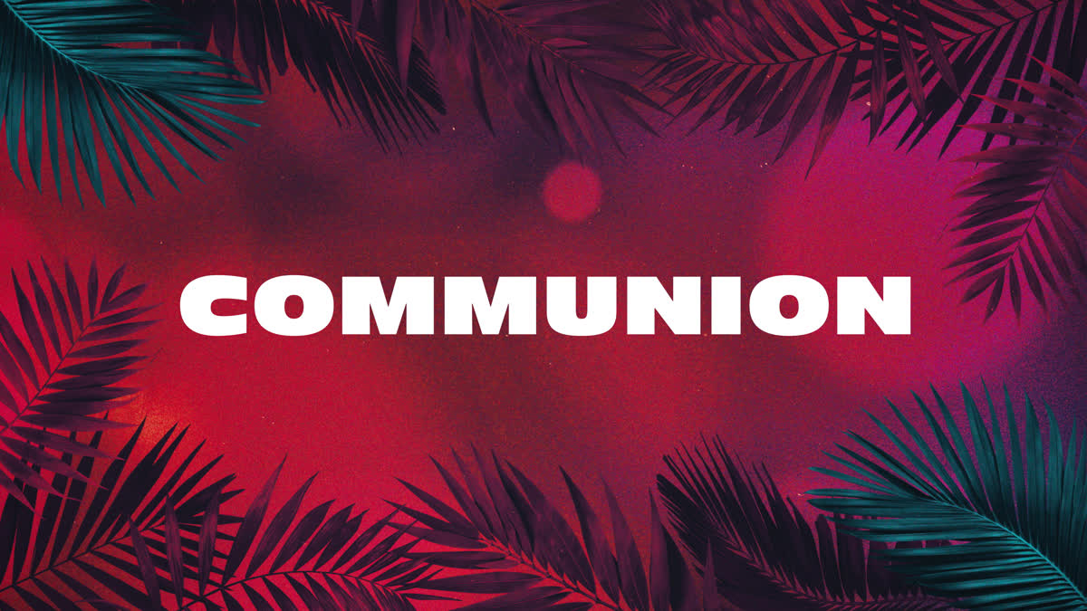 Vibrant Palms Communion