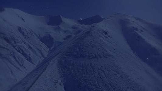 Deep Winter 13 Tint Still