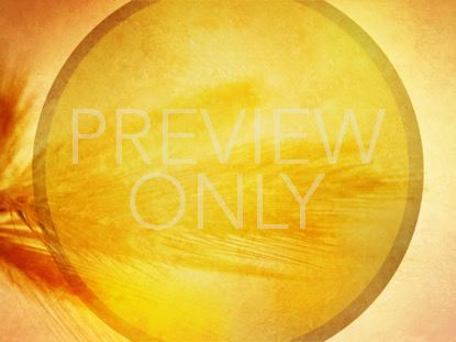 The Great Commission 4 Still