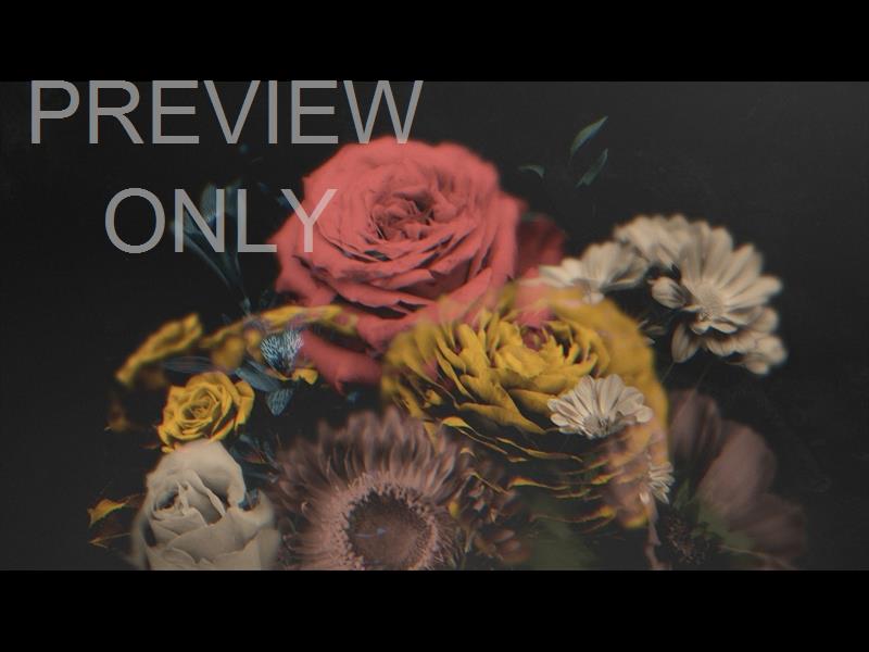 Deep Beauty Still 04