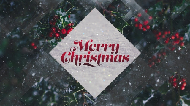 Winter Journey Merry Christmas