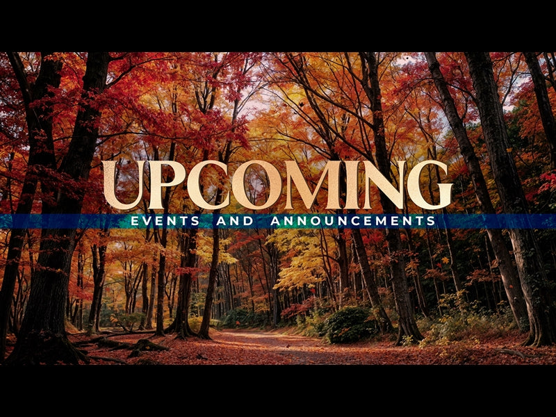 Forest Fall Upcoming
