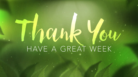 Fresh Outlook Closing Still