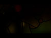 Stained Glass Motion 4