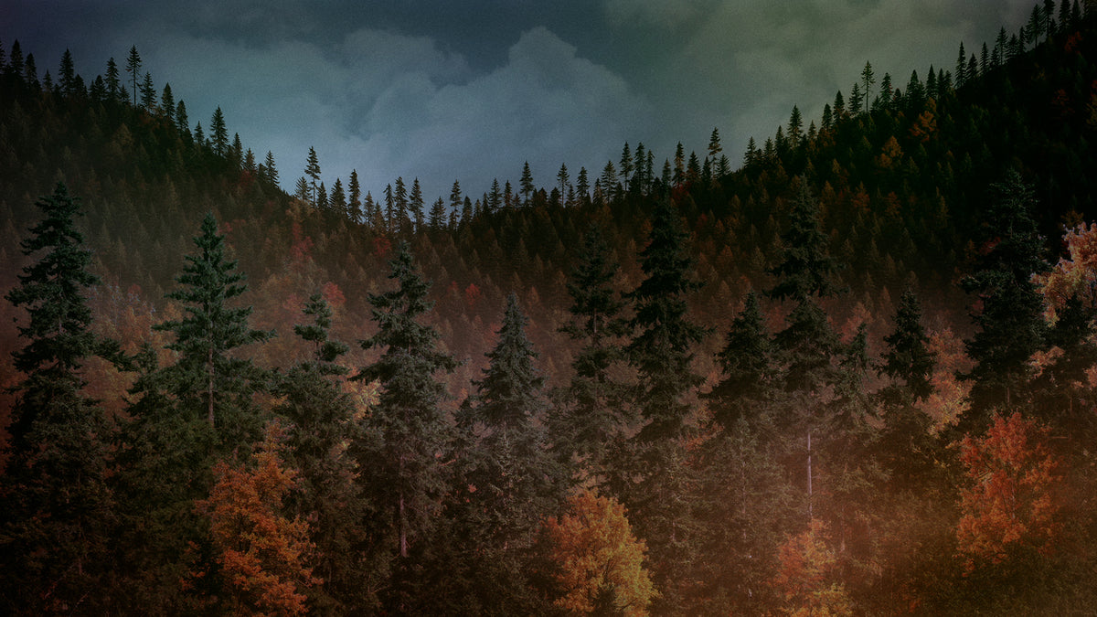 Ridgeline Fall 8