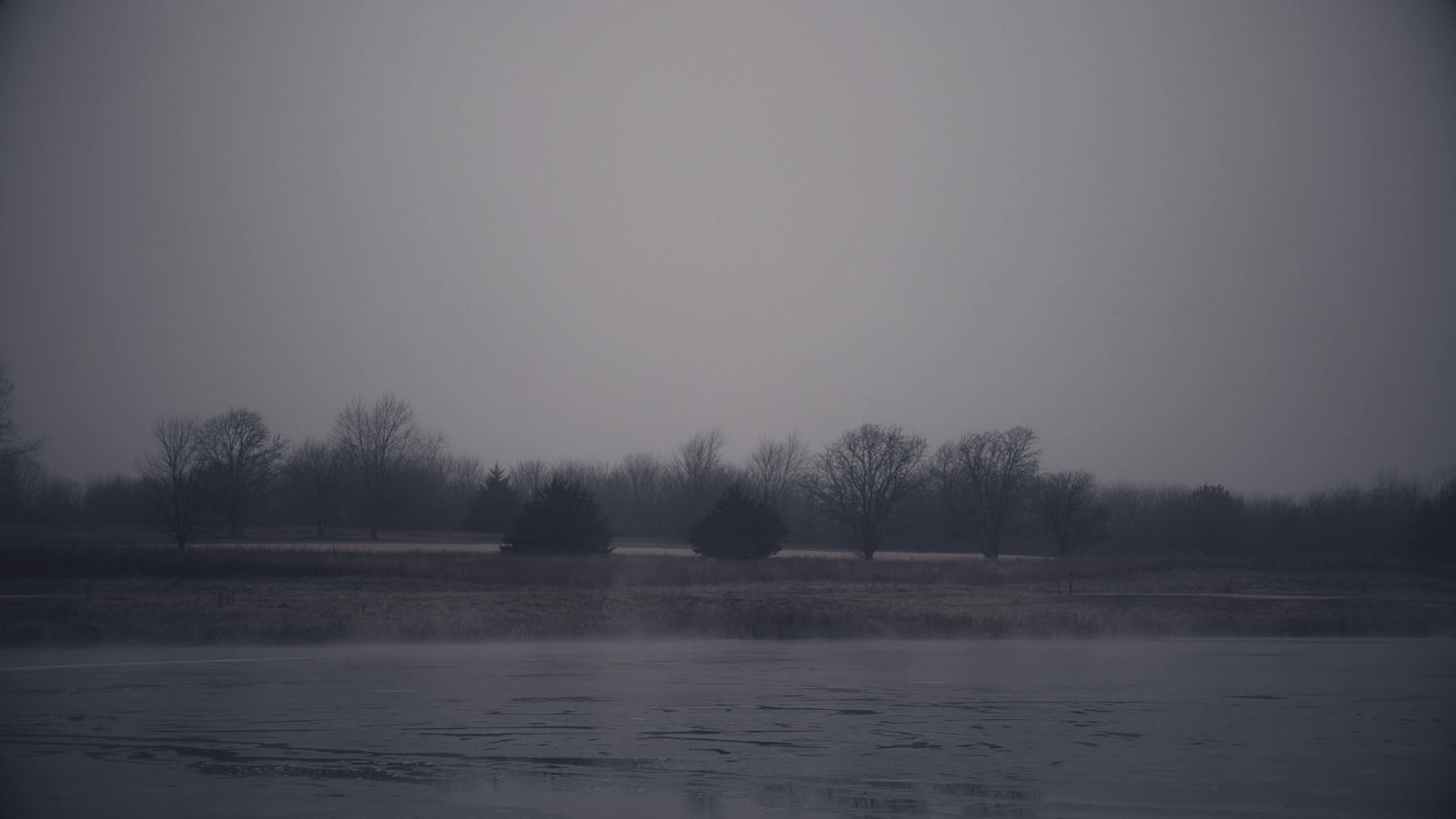 Bleak Beauty Mist
