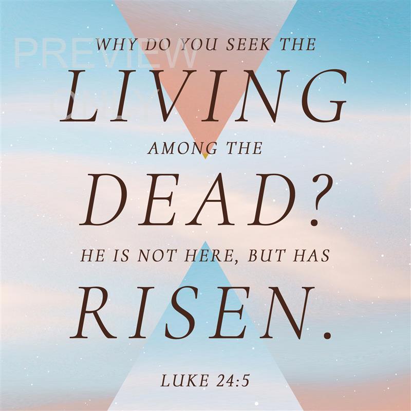 Bright Easter Liquify Social Graphic Scripture