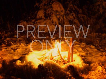 Chestnuts Roasting Still