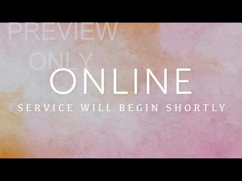 Summer Canvas Online Still