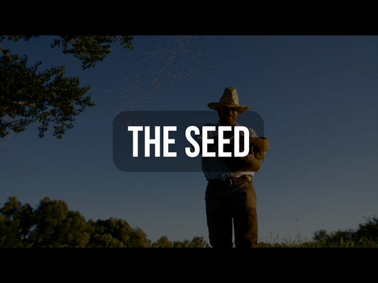 The Seed