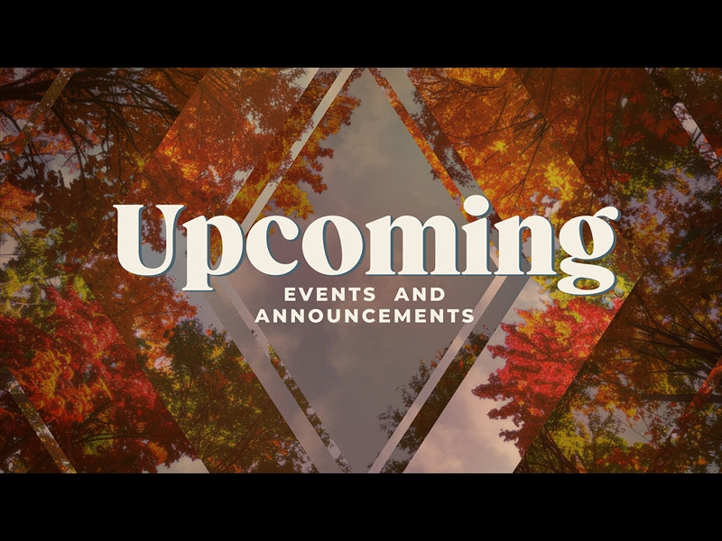 Fall Trees Upcoming
