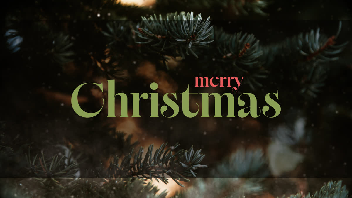 Evergreen Christmas