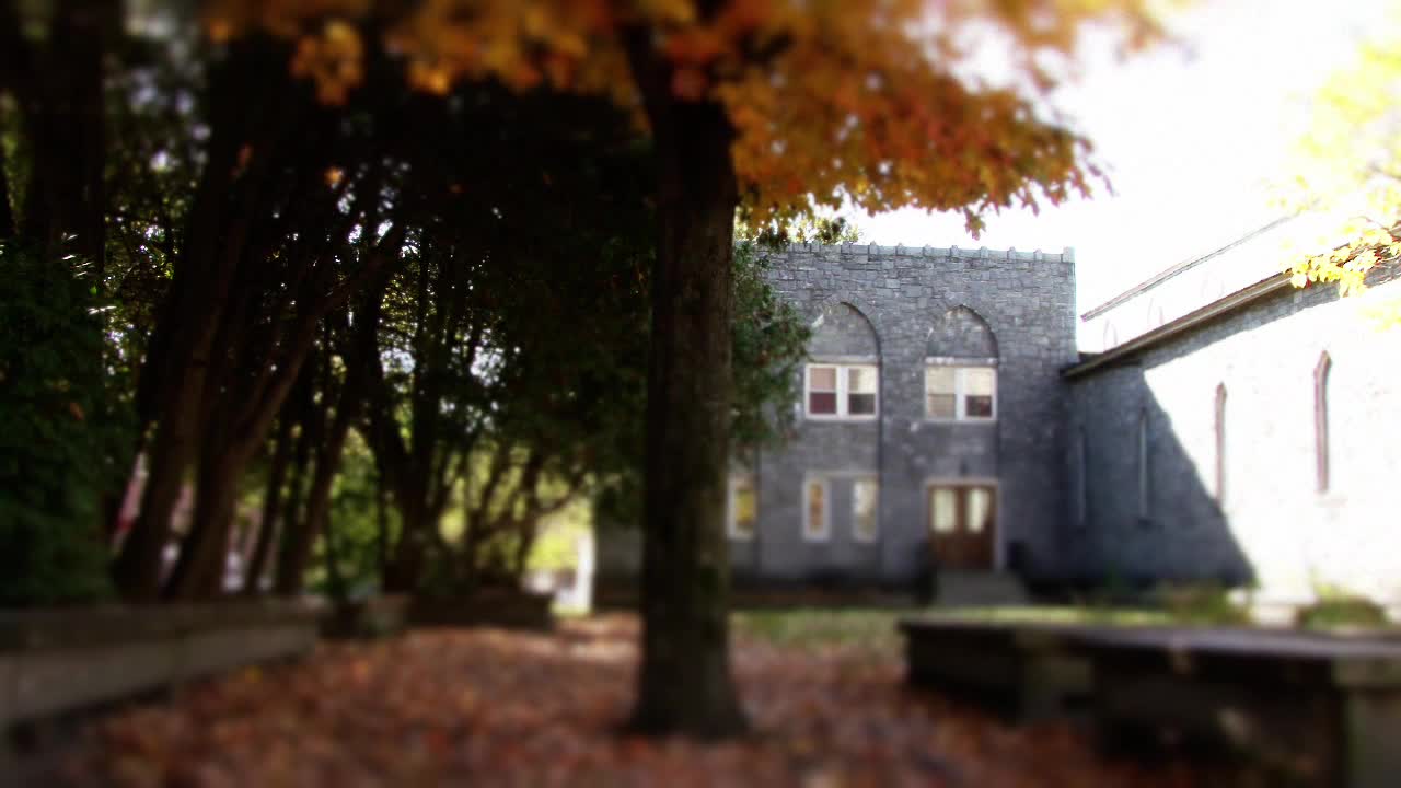 Autumn Courtyard