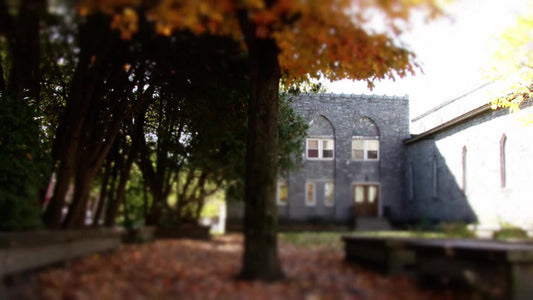 Autumn Courtyard
