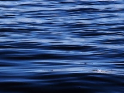 Waters Surface Loop