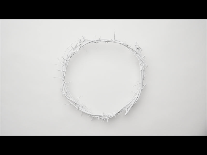 Crown Of Thorns White 6
