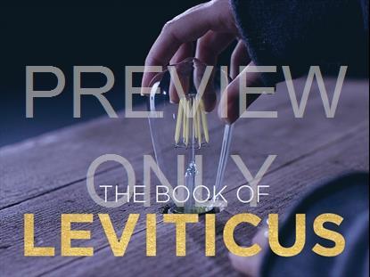 The Book Of Leviticus: Lightbulb