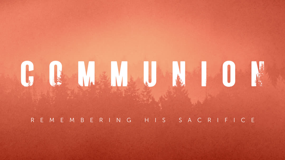Timberline Still Communion