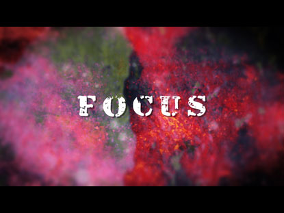 Focus