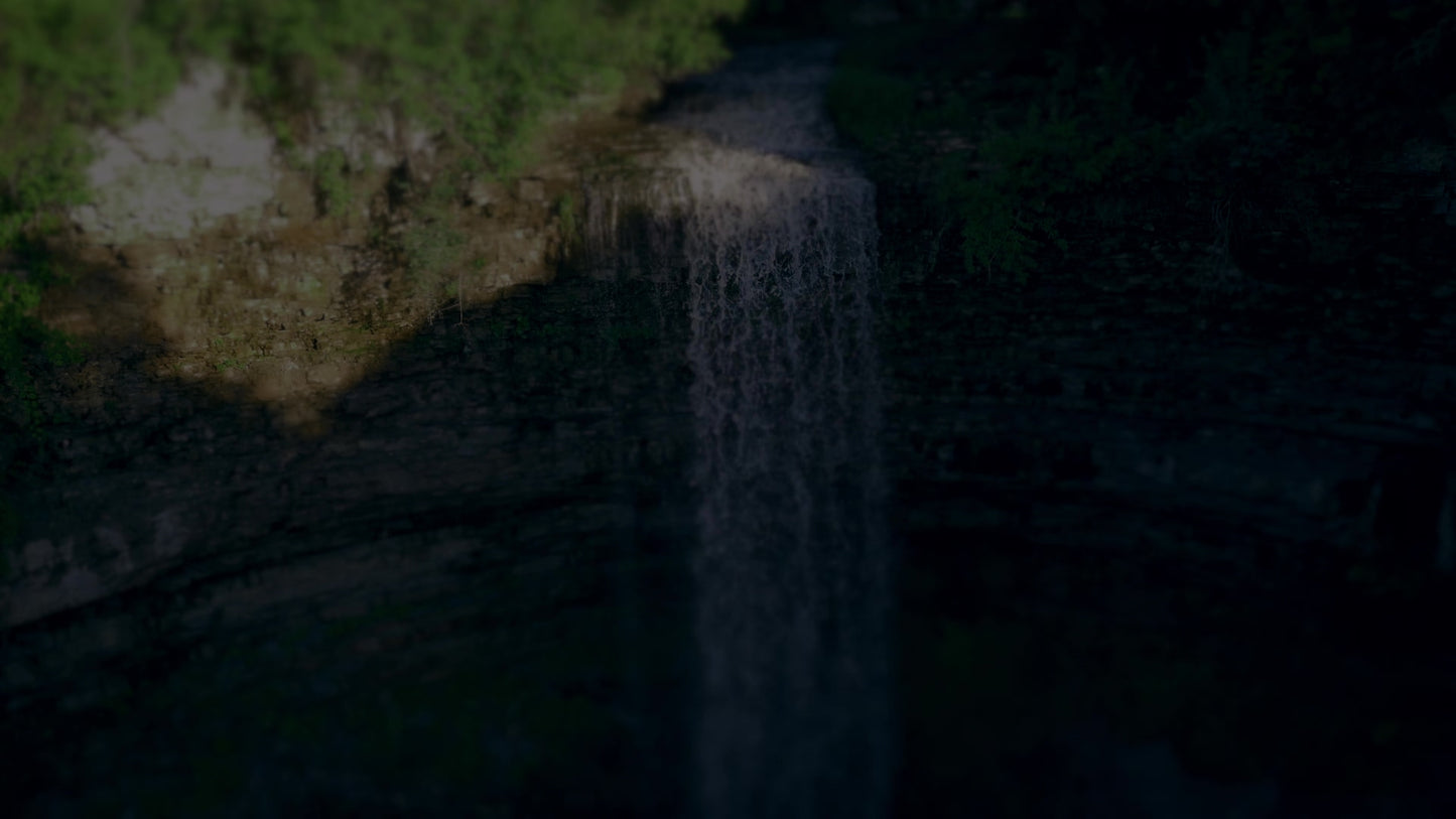 Nature'S Force 1 Darken