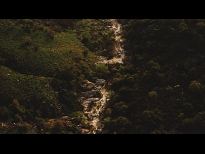 Valley River 02