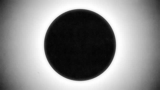 Silhouettes 12