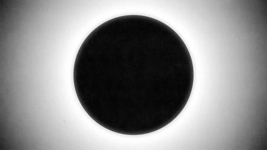 Silhouettes 12