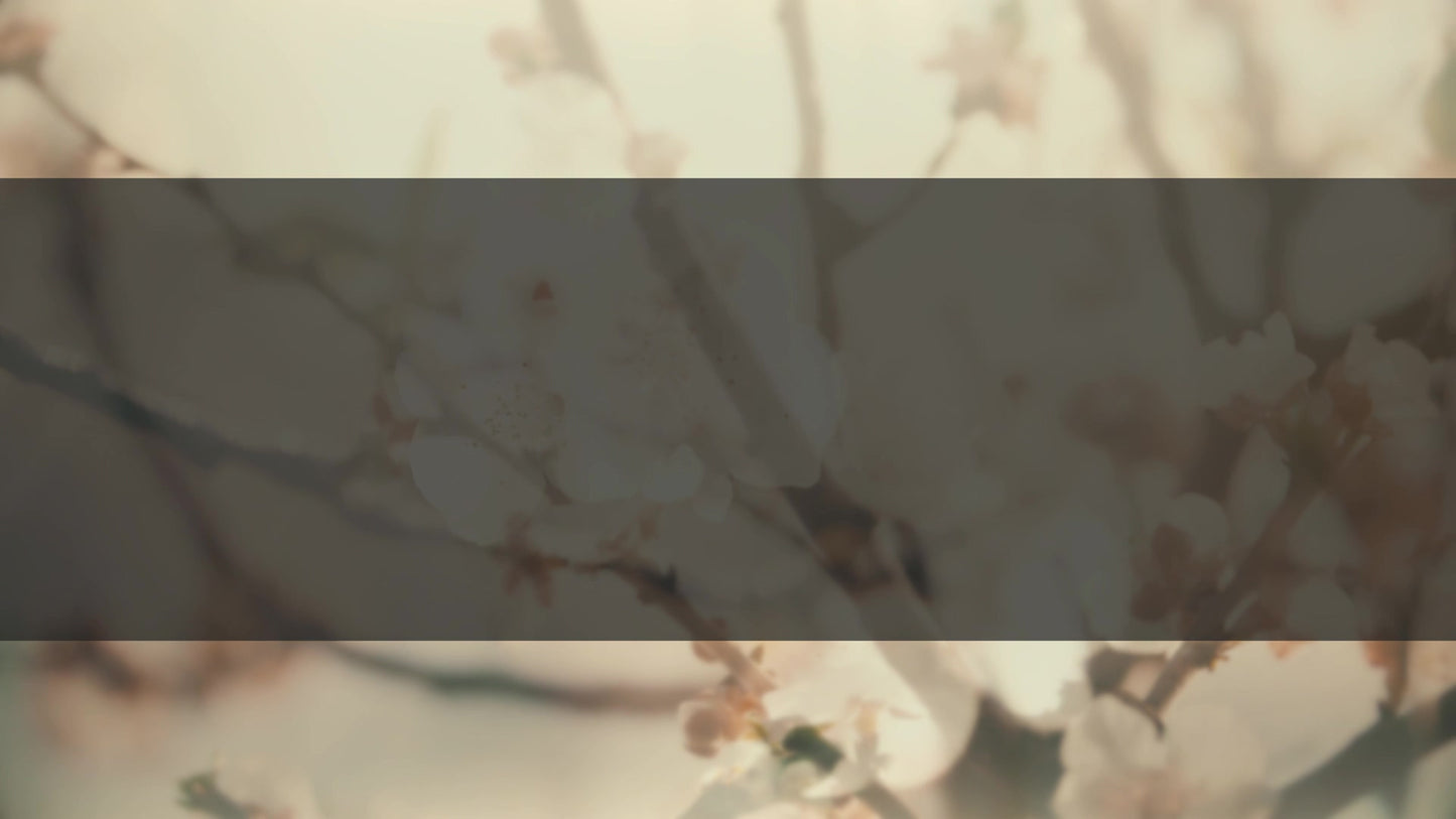 Muted Spring Branch Box Still