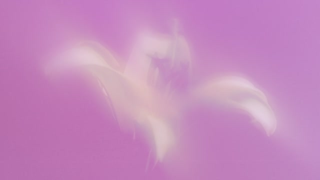 Living Hope Loop 02