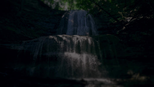 Nature's Force 8 Darken