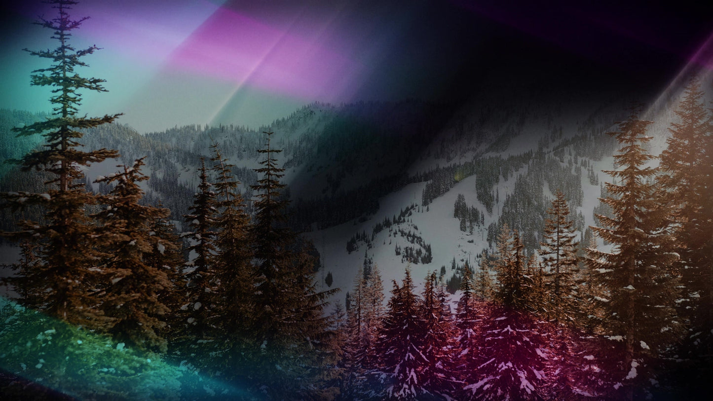 Christmas Light 13 Still