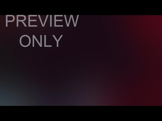 Christmas In The City Still 20